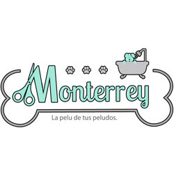 logo-Monterrey