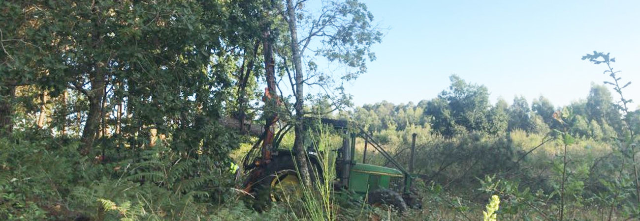 el-tractor-tor-tor.jpg